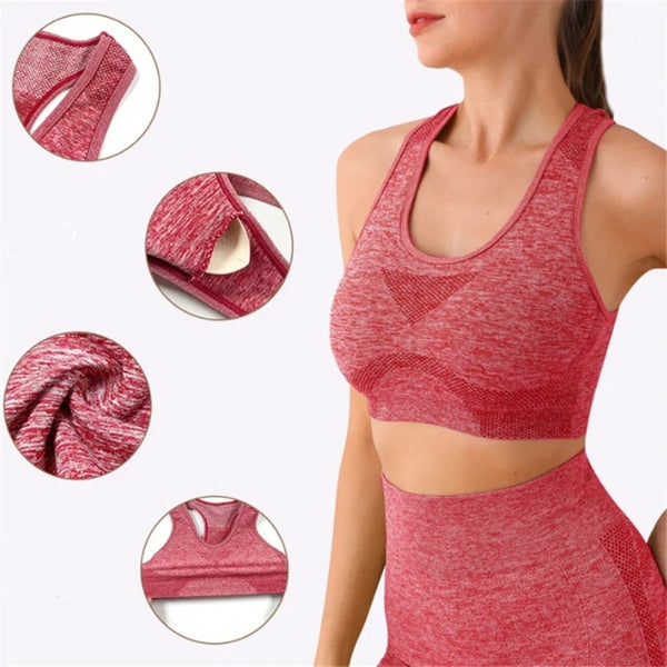 Multi-Color Seamless Activewear Set for Women
